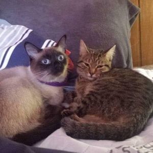 Meet your Posher, Em